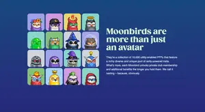 MoonBirds
