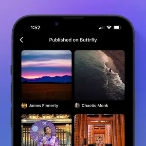 Buttrfly