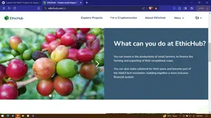 EthicHub