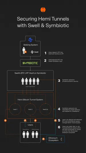 Hemi Network