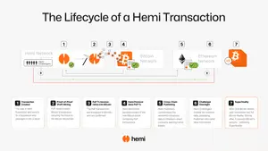 Hemi Network