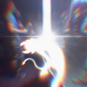 Luci