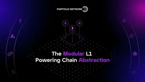 Particle Network