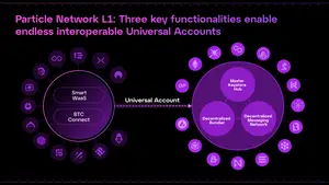 Particle Network