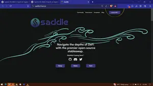 Saddle finance