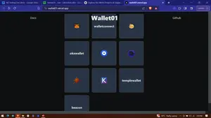 Wallet01