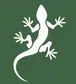 Lizard